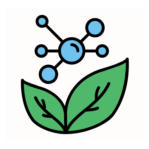 <h4><strong>ANTIOXIDANT</strong></h4>