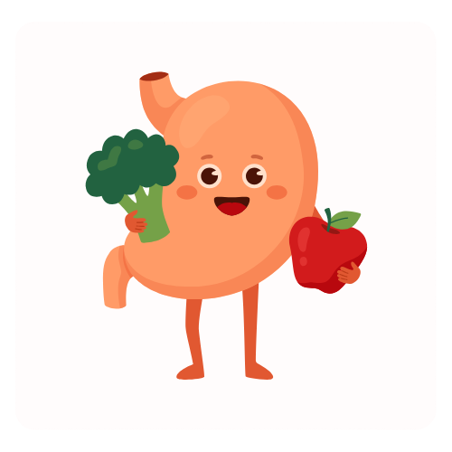 <h4><strong>IMPROVE DIGESTION</strong></h4>