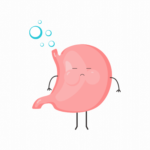 <h4><strong>REDUCE BLOATING</strong></h4>