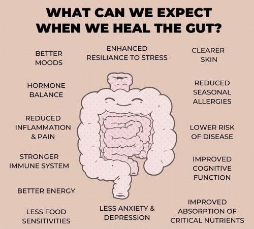 KLEENENFIT™ - Prebiotics and Plant Fiber drink for Gut Health & Colon Cleansing 7sachets | 11,000mg/sachet